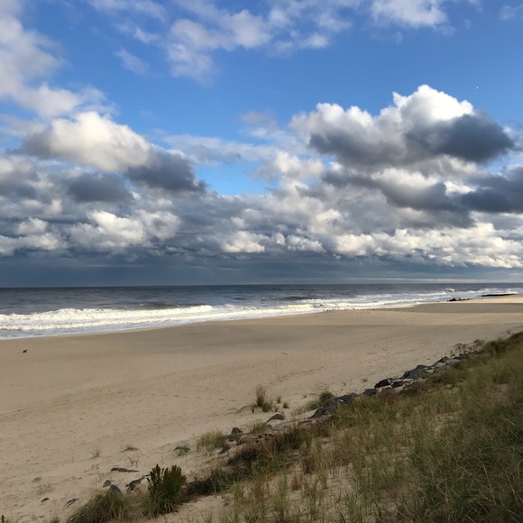 Meet your Posher, Isabel - Picture 2 of 2